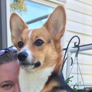 Meet your Posher, Paula